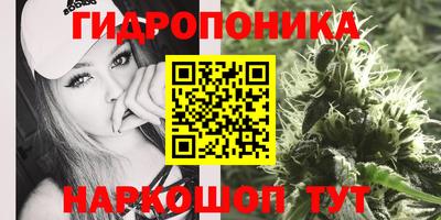прущие крисы Гатчина