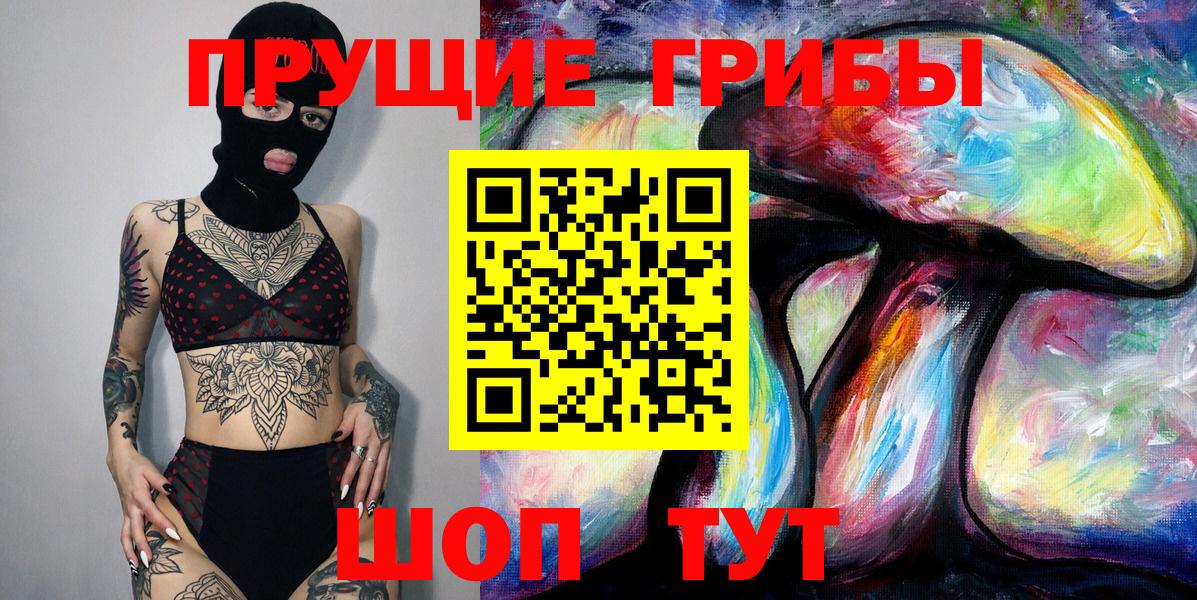 Псилоцибиновые грибы Psilocybe Кирово-Чепецк