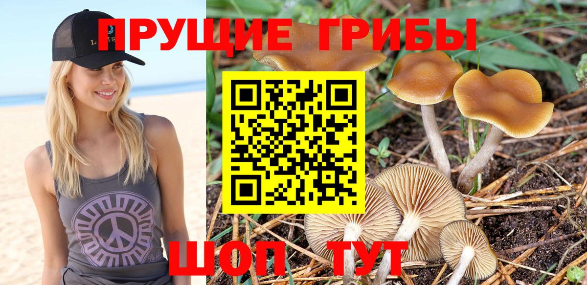 Кирово-Чепецк  Галлюциногенные грибы GOLDEN TEACHER  Галлюциногенные грибы Cubensis  Вход с VPN 
